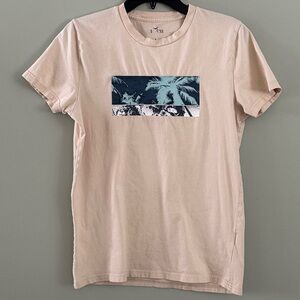 Hollister Tan T Shirt Palm Tree Graphics Front
Tan Cotton Adult Small